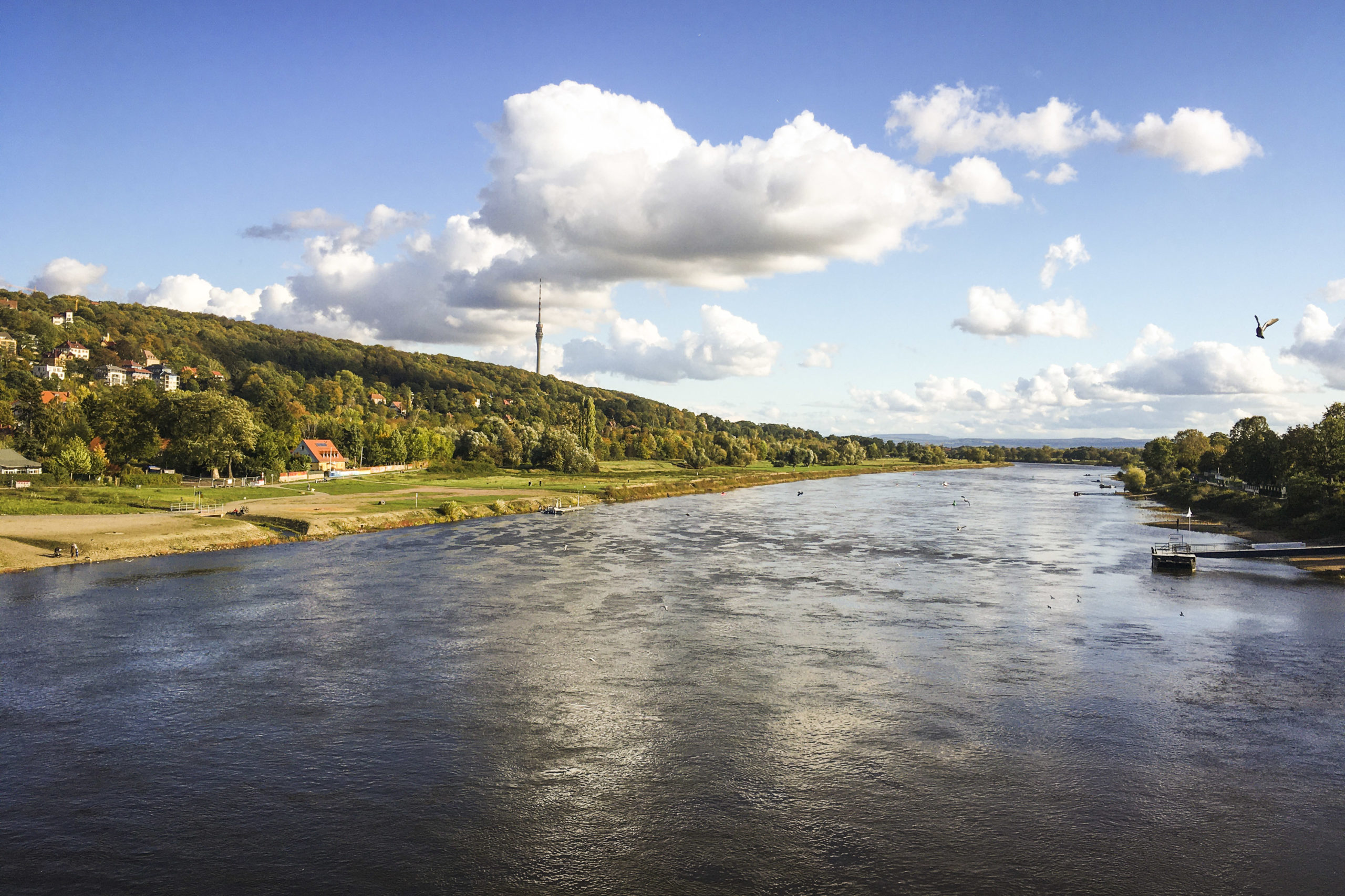 Start in Dresden mit Blick auf die Elbe