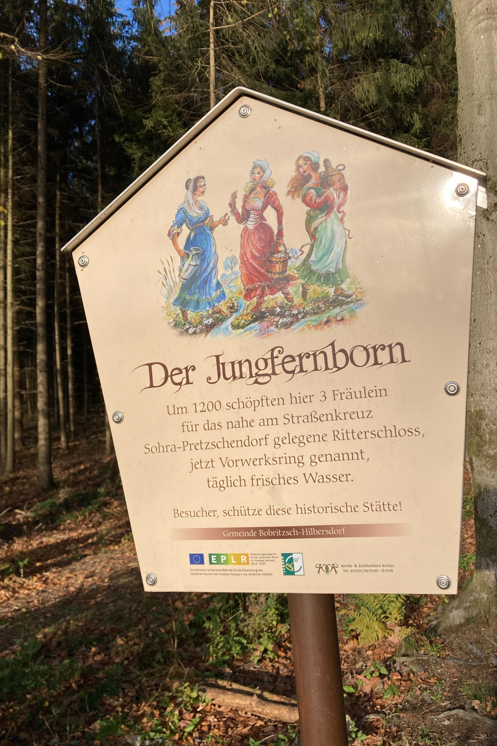 Am Jungfernborn im Bobritzscher Gemeindewald.