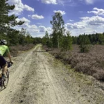 eine grandiose Heidelandschaft in der Görlitzer Heide